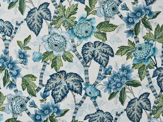 Cape Floral 577 Cape Floral 577