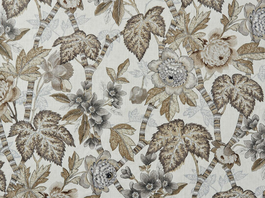 Cape Floral 893 Cape Floral 893
