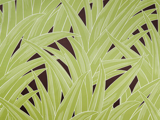 Palmhouse 744 Palmhouse 744