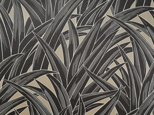 Palmhouse 986 Palmhouse 986