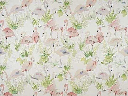 Les flamants roses Les flamants roses