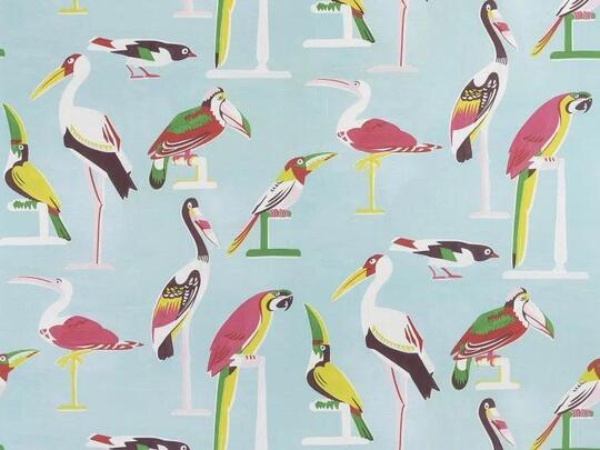 Les oiseaux perches Les oiseaux perches