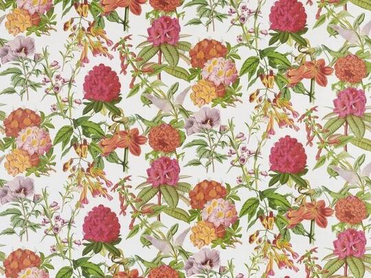 Les rosages Les rosages