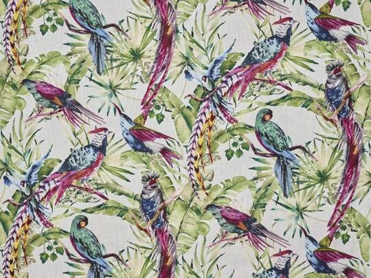 Vol d'oiseaux Vol d'oiseaux