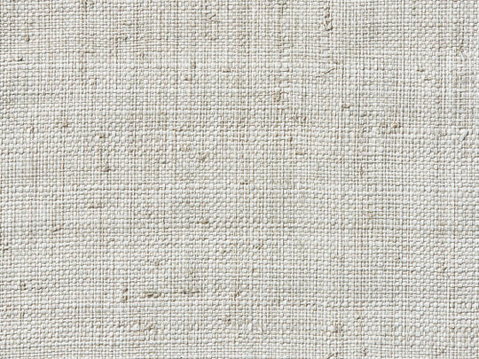 Raffia Weave 981 Raffia Weave 981