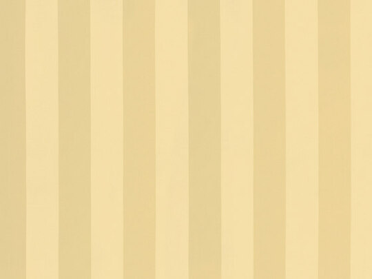 Solice Stripe 893 Solice Stripe 893