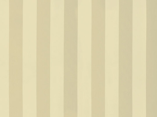 Solice Stripe 984 Solice Stripe 984