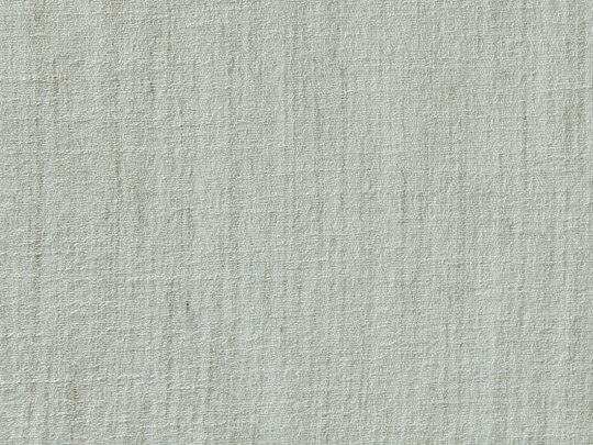 Willow FR 673 Willow FR 673
