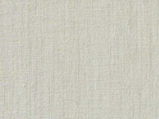 Willow FR 882 Willow FR 882
