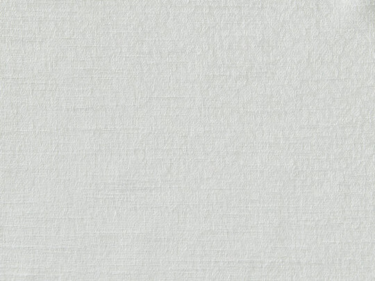 Willow FR 910 Willow FR 910