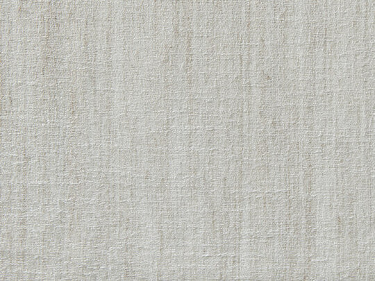 Willow FR 983 Willow FR 983
