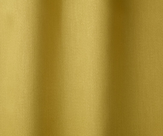 Blazer | Col.30 Bouton D'Or Blazer | Col.30 Bouton D'Or