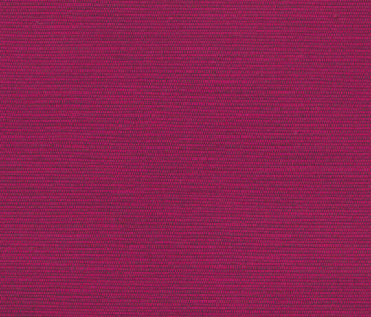 Carlo - Fuxia Carlo - Fuxia