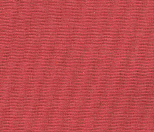Carlo - Geraneo Carlo - Geraneo