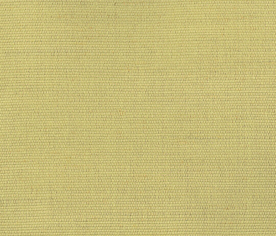 Carlo - Giallo Napoli Carlo - Giallo Napoli