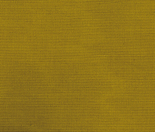Carlo - Ottone Carlo - Ottone