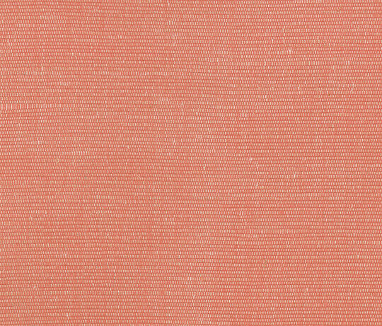 Carlo - Rosa Carlo - Rosa