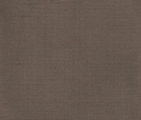 Carlo - Terra Carlo - Terra