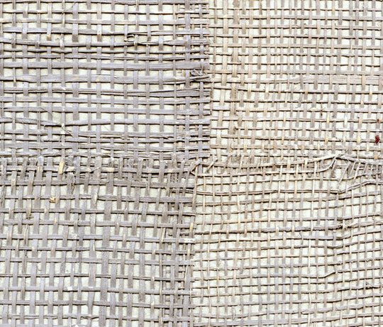 Épure | Pachira RM 666 12 Épure | Pachira RM 666 12