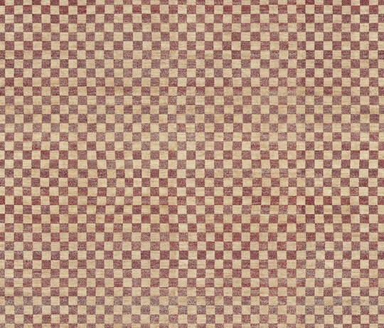 Gamba | Checkerboard Gamba | Checkerboard