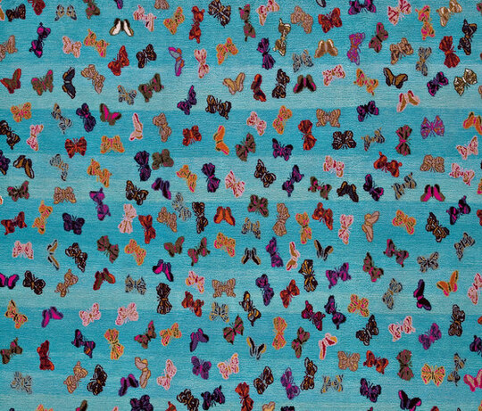 Gamba | Little Butterfly Gamba | Little Butterfly