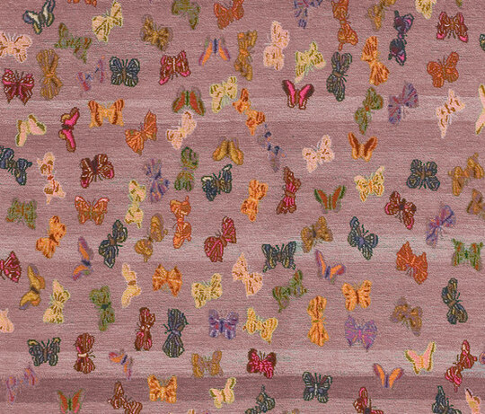 Gamba | Little Butterfly Gamba | Little Butterfly