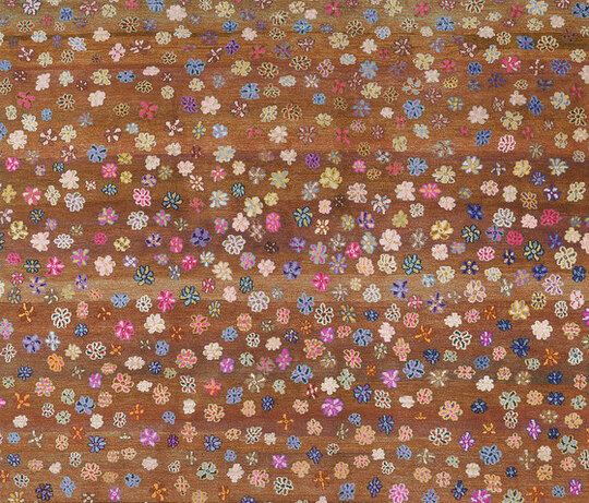 Gamba | Little Flowers Gamba | Little Flowers