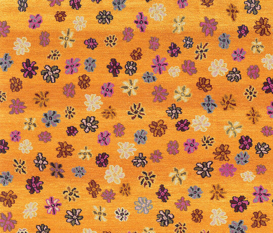 Gamba | Little Flowers Gamba | Little Flowers