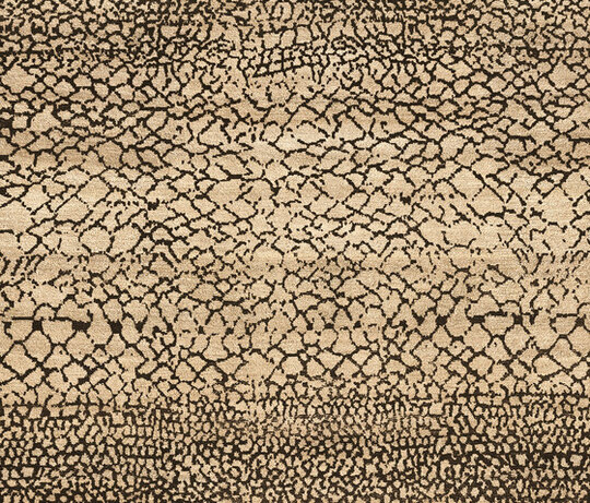 Gamba | Tourouk Gamba | Tourouk
