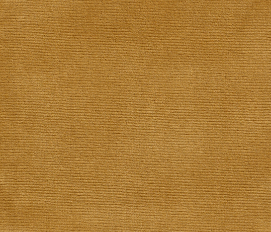 Sansone col. 024 Sansone col. 024