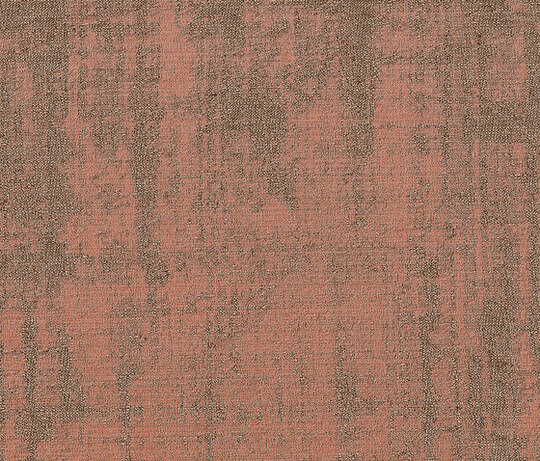 Venier - Corallo Venier - Corallo