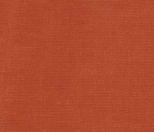 Carlo - Corallo Carlo - Corallo