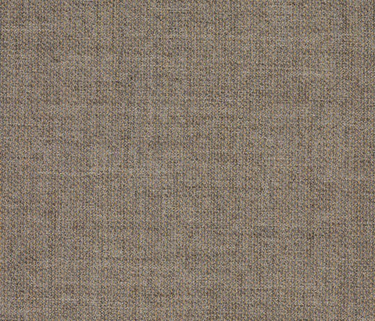 Clara 2 - 0273 Clara 2 - 0273