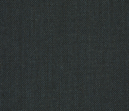 Clara 2 - 0987 Clara 2 - 0987