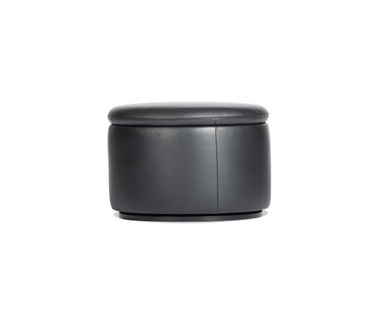 DS-800 Biscuit DS-800 Biscuit