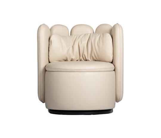 DS-800 Biscuit DS-800 Biscuit