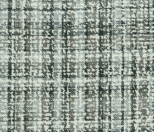 Friedy - Tortora Friedy - Tortora
