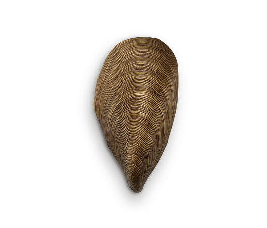 Mussel Shell Bathroom Wall - BWL03-AQB Mussel Shell Bathroom Wall - BWL03-AQB