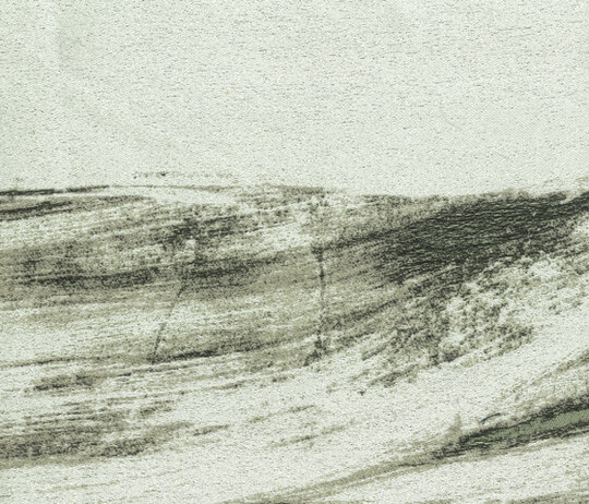 Rembrandt - Salice Rembrandt - Salice