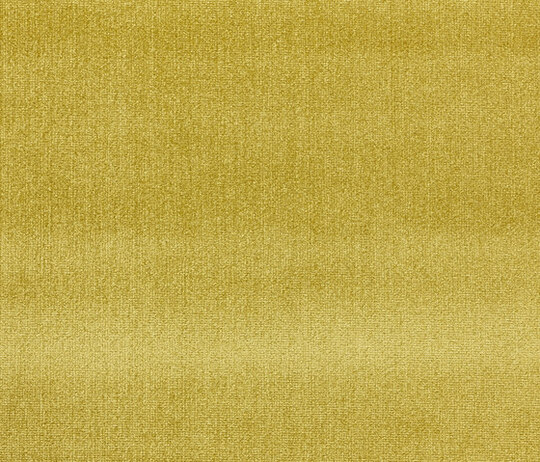 Splendido col. 008 Splendido col. 008