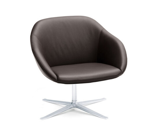 Turtle Lounge Armchair Turtle Lounge Armchair