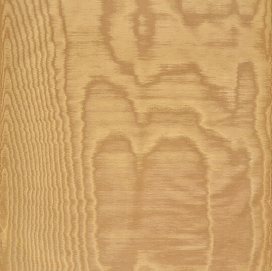 Amoir Fou Wall col.20 toffee Amoir Fou Wall col.20 toffee