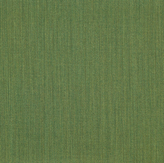 Buonfresco col.12 kiwi Buonfresco col.12 kiwi
