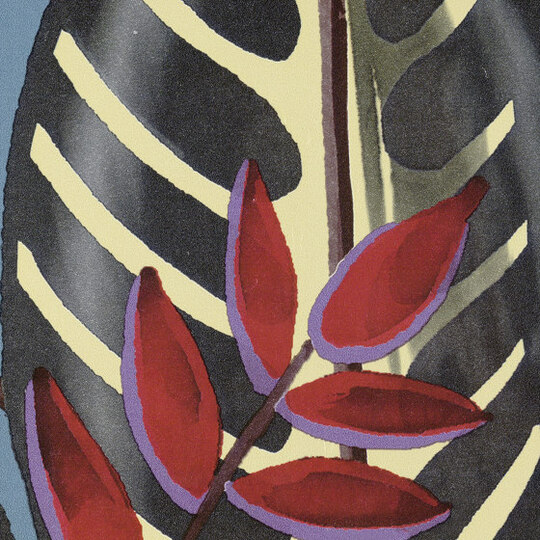 Flower Power | Alocasia | TP 302 05 Flower Power | Alocasia | TP 302 05