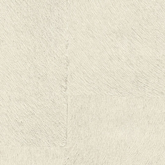 Indomptée | Appaloosa HPC | CV 113 02 Indomptée | Appaloosa HPC | CV 113 02