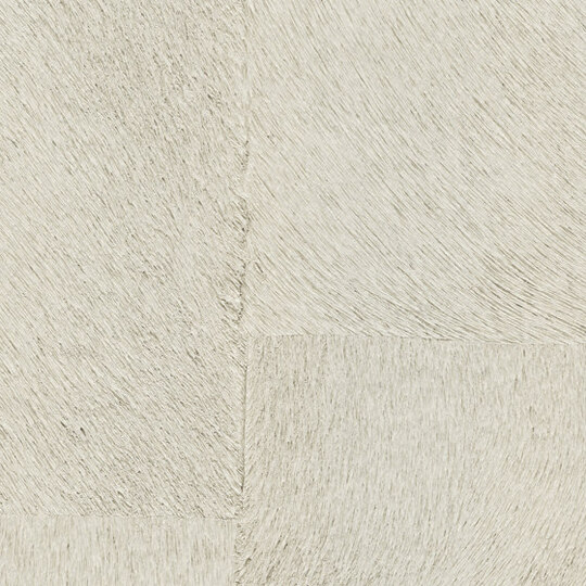 Indomptée | Appaloosa HPC | CV 113 04 Indomptée | Appaloosa HPC | CV 113 04