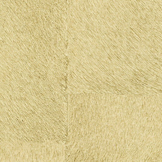 Indomptée | Appaloosa HPC | CV 113 11 Indomptée | Appaloosa HPC | CV 113 11