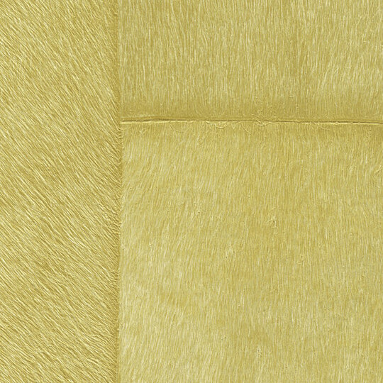 Indomptée | Appaloosa VP | 618 11 Indomptée | Appaloosa VP | 618 11