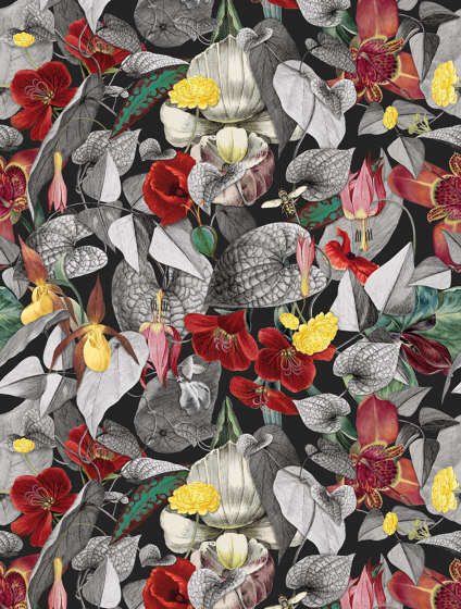 Gardenia Wallpaper - 200340 Gardenia Wallpaper - 200340