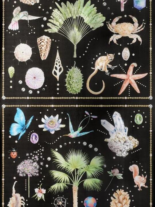 Curiosites Curiosites